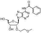 N6-苯甲?；?2'-O-(2-甲氧基乙基)腺苷
